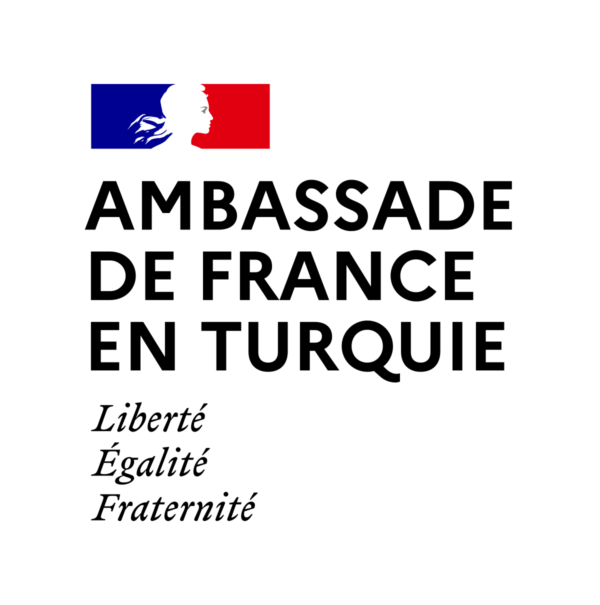 Ambassade de France en Turquie